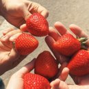 갤러리하루농장 이미지