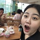 미스터길스시 이미지