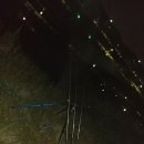 원투 피시 이미지