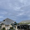 현대수족관 | 오키나와 츄라우미 수족관 오픈런 후기｜고래상어 실물 영접한 날, 돌고래 쇼