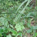 밴프 야영장 이미지