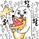 윈터펠 치와와 이미지