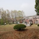 선부동 지석묘군 이미지