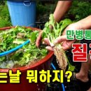 질경이농장 이미지