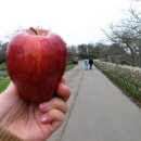 새보라목장 이미지