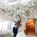 [본식스냅] 지아필름 예약후기♡ (더베뉴지서울/베뉴지홀) +짝꿍할인