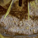 냉수농장 이미지