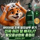 초록이라면 | 바이브랩 초록 탈모샴푸 후기 | 진짜 머리 덜 빠지나? 탈모증상완화 총정리