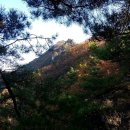 신선봉한옥펜션 이미지