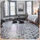 가정견1회분양 | 연천 애견분양 시바견분양의 현실적 선택 가이드