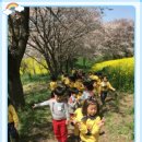 경상목장 Daum카페