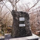 꿀맛돼지 이미지