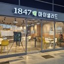 마이샐러드1847