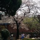 동산박물관 이미지