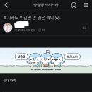 아침에 냥슐 들어왔다가 천사쥔님 만난 썰푸 이미지