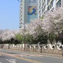 금호강7 이미지