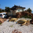 부흥공원 이미지