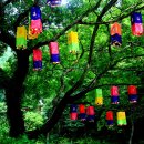 청사초롱 이미지