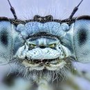 Latest News Reading 이미지