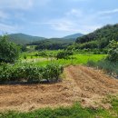 대동리 마을회관 이미지