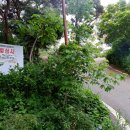일심사(제83호)