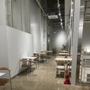 마고플레인 양산