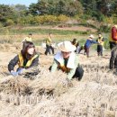 울진경찰서 이미지