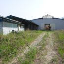 철원목장 이미지