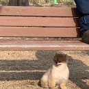 하단동1163 이미지