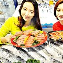 참치플러스 이미지