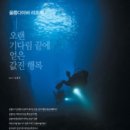 울릉다이버리조트