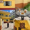 레이지연화 | 대구 동인동 신상카페 브런치 [엘마요르] 후기