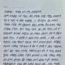 31 스타뉴스