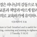 Bible Reading - 2 Timothy 3:10~17 이미지
