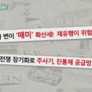 팩트체크