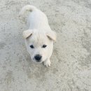 도은농장 이미지