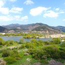 섬진강 침실습지 이미지