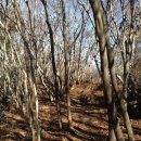 봉래산시름재 | 전남 고흥반도 나로도에 있는 봉래산 산행