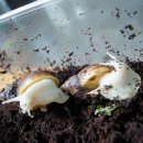 홍천향토사료관 이미지