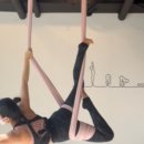 요가디야 이미지