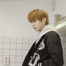 강아지트 이미지