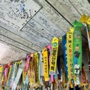 알프스산장 | 영남알프스 가지산 금강산도식후경 가지산장 다녀온 후기