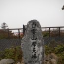 백운산약초