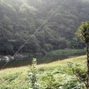 최고주유소 이미지