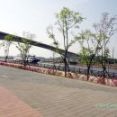 초보환영 자전거대여도됩니다~~(라이딩)3월19일(일)검암역 아랴뱃길 코스 아름다운 공항 자전거 코스 고고 2030 자전거 동호회 이미지