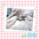 더예쁠:우리