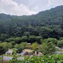 서운산캠핑장