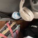 순영5호 | 질척질척한 팬은 팬이 아냐, 임마 : 2022.7~8.7