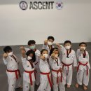 어센트태권도장 네이버블로그