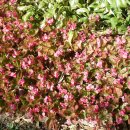 흥국사길 이미지